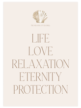 The Meaning of Seashell - Art Print